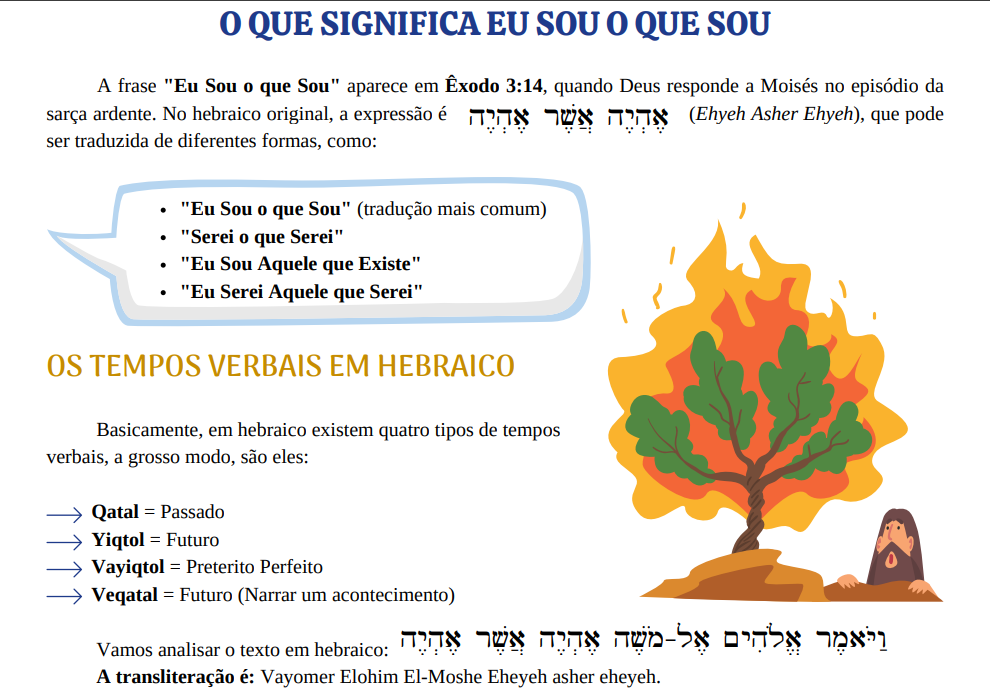 amostra manual questoes 2