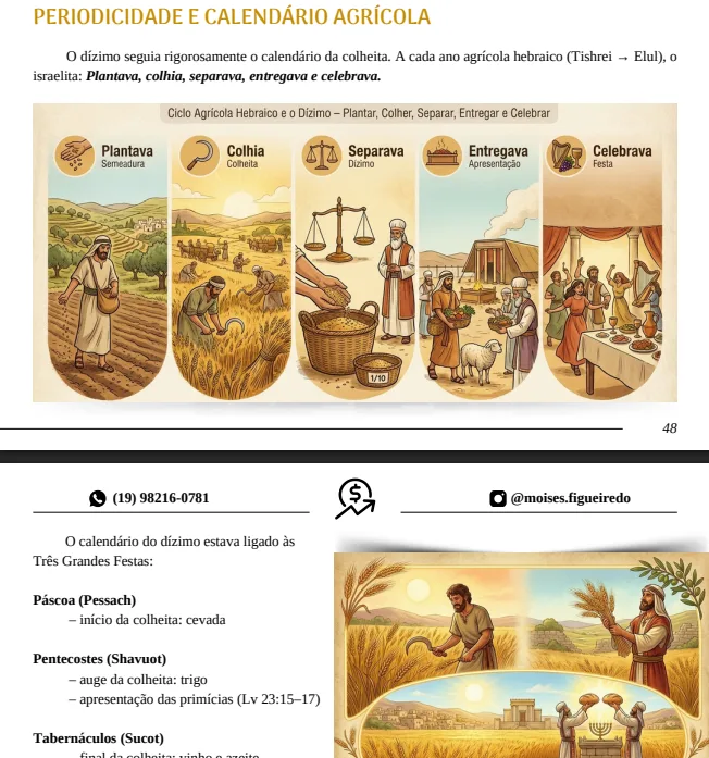 4 - a ordem material